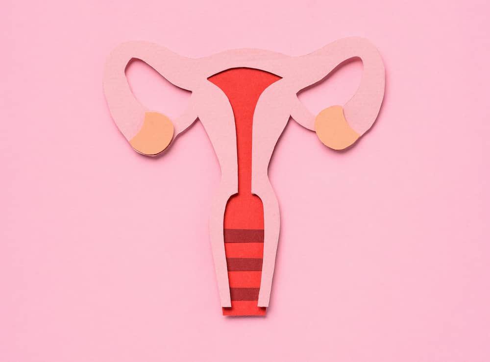 Dear Smear – A Cervical Screening Experience